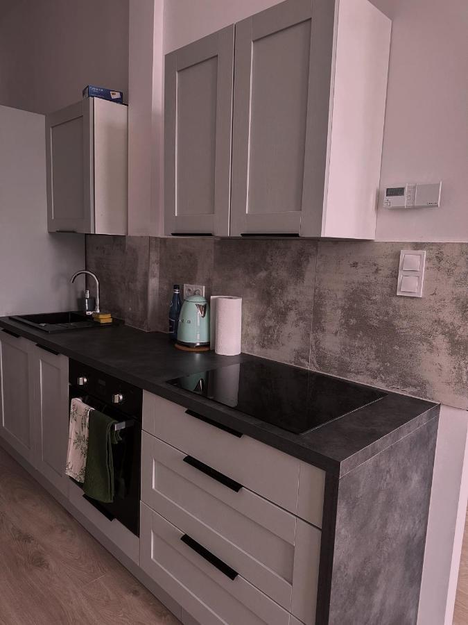 Loft Przy Placu Niepodleglosci Apartment เยเลเนียกูรา ภายนอก รูปภาพ
