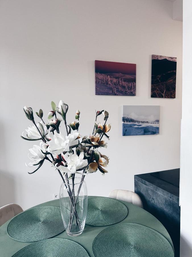 Loft Przy Placu Niepodleglosci Apartment เยเลเนียกูรา ภายนอก รูปภาพ